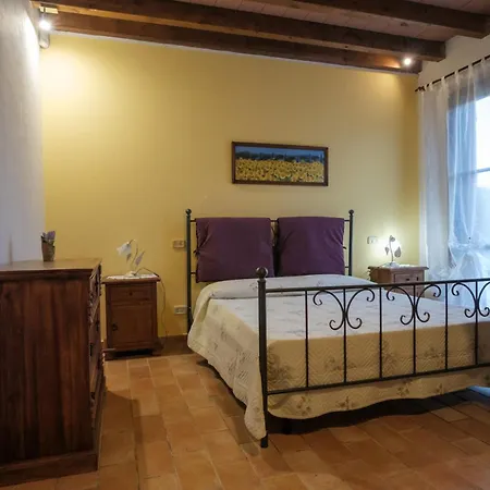 Niccoland Grosseto