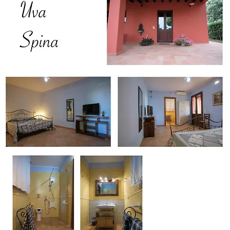 Niccoland Farm stay Grosseto