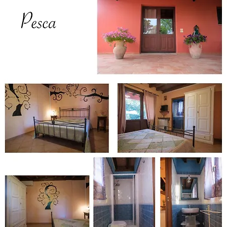 Niccoland Farm stay *